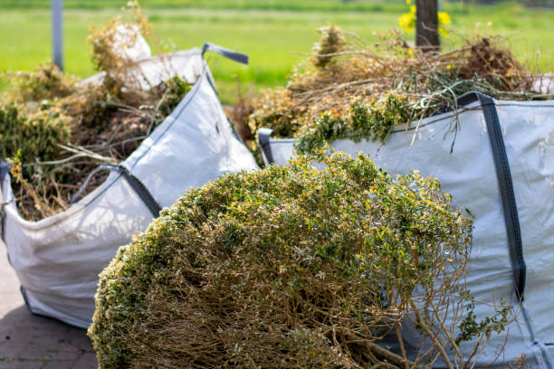 Recycling Services for Junk in Beaumont, TX
